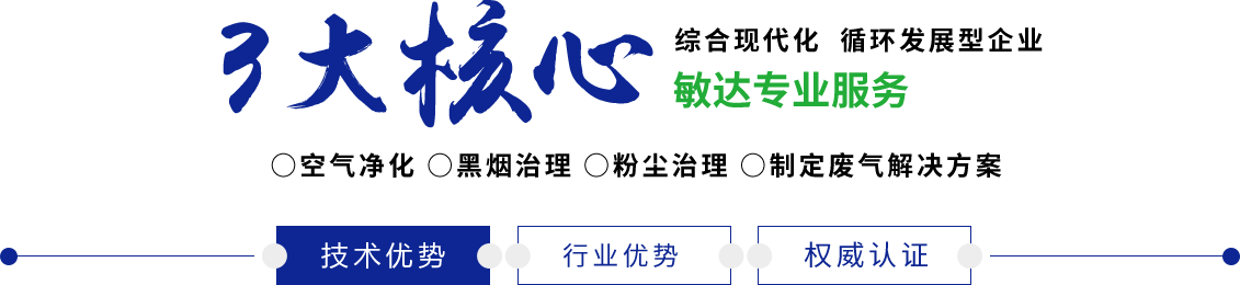 小骚货大鸡巴操死你视频免费观看敏达环保科技（嘉兴）有限公司